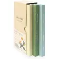 Tombow Farveblyanter Tombow Irojiten Rainforest med 30 stk. ass. farver