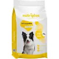 Nutriplus Adult Dog with Chicken - 3 kg