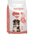 Nutriplus Adult Dog med laks - Sparepakke: 2 x 15 kg