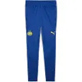 Puma Psv Eindhoven 24/25 Trening Joggers