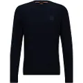 Hugo Boss Anion Genser