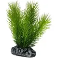 Usorteret Dohse Mayaca, 16 cm