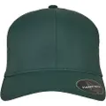 Flexfit Delta Cap