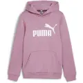 Puma Ess Logo Hettegenser