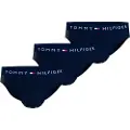 Tommy Hilfiger Brief Slips 3 Enheter