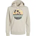 Jack & Jones Summer Vibe Hettegenser