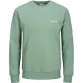 Jack & Jones Bradley Graphic Collegegenser