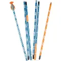 BCA Stealth 270 Sonde
