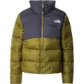 The North Face Saikuru Jakke grønn