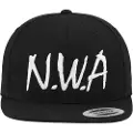 Mister tee N.w.a Cap