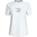 Calvin Klein Jeans Font Graphic Kortarmet T-skjorte