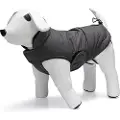 Designed By Lotte Zhanti Hundegenser