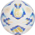 Adidas Argentina 24 Competition Fotball
