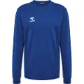 Hummel Authentic Co Training Collegegenser