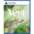 Sony Ps5 Hoa