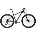 Coluer Ascent 295 29´´ Altus 2023 Terrengsykkel