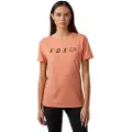 FOX Racing Absolute Tech Kortarmet T-skjorte