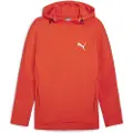 Puma Evostripe Hettegenser