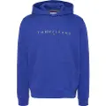 Tommy Hilfiger Reg Linear Gold Hettegenser