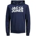 Jack & Jones Crop Logo Pluse Size Hettegenser