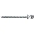 Fischer 670439, Skru, Metall, Tre, Generell nytte, Full tråd, Kuppelhode