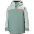 Helly Hansen Level, Skijakke, Junior, Cactus