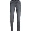 Jack & Jones Mike Original Sq 270 Plus Size Jeans