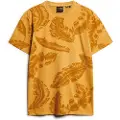 Superdry Vintage Overdye Printed Kortarmet T-skjorte