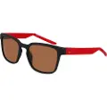 Nike Livefree Iconic Solbriller