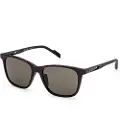 Adidas Sp0051-5552n Solbriller