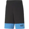 Puma Power Summer Cbs Shorts