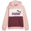 Puma Ess Block Fl Hetteskjorte
