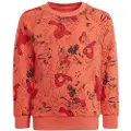 Adidas Disney Mickey Mouse Collegegenser