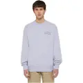 Dickies Aitkin Chest Collegegenser