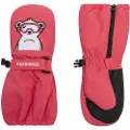 Rossignol Imp´r Votter