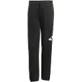 Adidas Essentials Big Logo Joggers