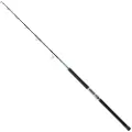 Daiwa Saltiga Hiramasa Jigging Stang
