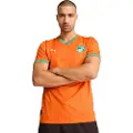 Puma Ivory Coast Replica 2025 Hjem Kortarmet T-skjorte