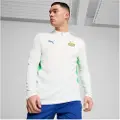 Puma Psv Eindhoven 24/25 Trening Genser Med Hel Glidelås