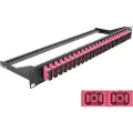 DeLOCK - Koblingspanel - rackmonterbar - SC Duplex MM X 24 - svart, fiolett - 1U - 19
