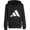 Adidas Essentials Big Logo Hettegenser