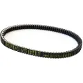 Athena S41plat067 Piaggio Beverly 250-300cc 2004-20 Transmisjonsrem