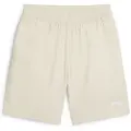 Puma Ess N1 Logo 8´´ Chinoshorts