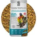 Tropican Livstid Vedlikehold Av Nymfer