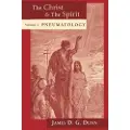 WILLIAM B EERDMANS PUBLISHING CO The Christ and the Spirit