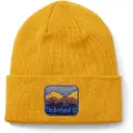 Timberland Mountain Patch Lue