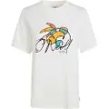 O'Neill Luano Graphic T-skjorte hvit