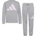 Adidas Essentials Joggers Sett