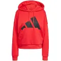 Adidas Essentials Big Logo French Terry Loose Hettegenser