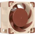 Noctua NF-A4x20 PWM - Kabinettvifte - 40 mm